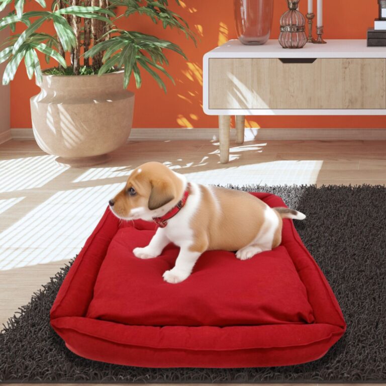 pet cushion in red with a dog in the room