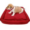 red pet cushion