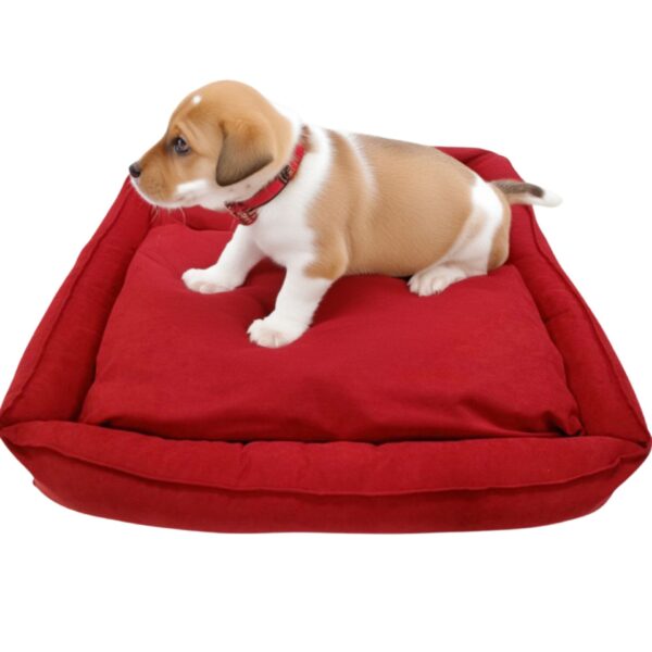 red pet cushion